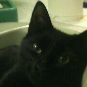 Meet your Posher, Lori